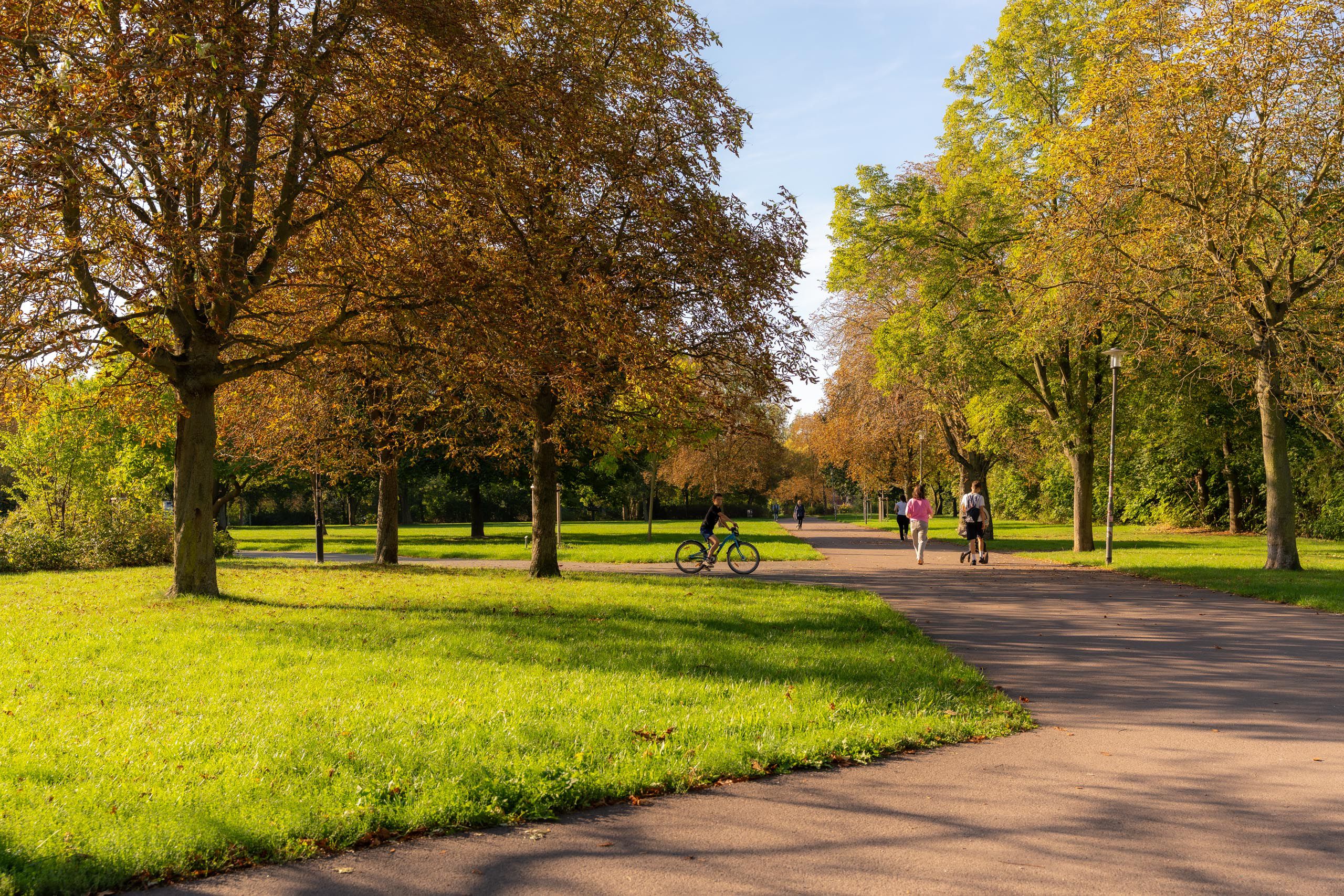 Pestalozzipark im Herbst